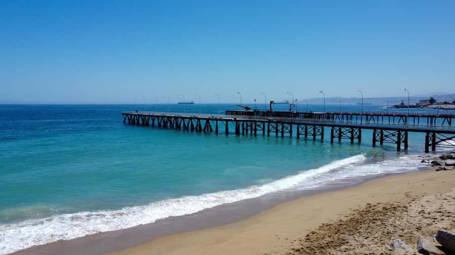 Valparaiso Port and Viña del Mar, Wine tasting in Casablanca - Who should book this day trip