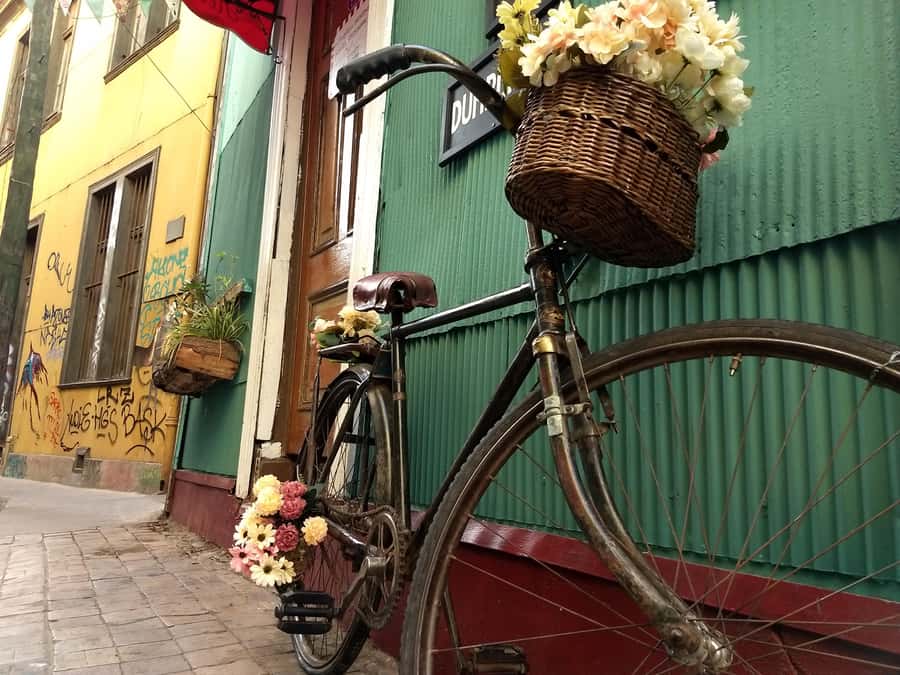 Valparaiso: Street Art, Funiculars and Port City Tour - Pasaje Gálvez, galleries, and the meaning behind the murals
