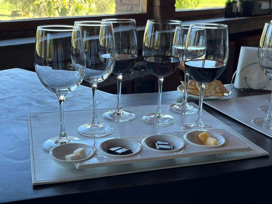 Valparaíso to Casablanca: wine tour with premium tasting and transportation - Arriving at a Casablanca Valley vineyard