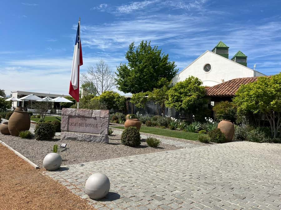 Valparaíso to Casablanca: wine tour with premium tasting and transportation - Who will enjoy this wine tour most?