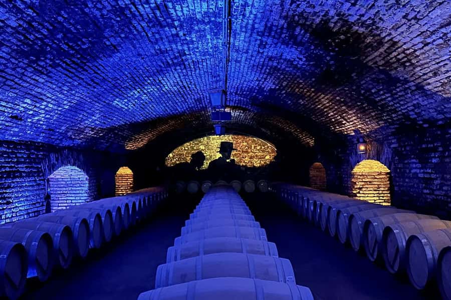 Viña Concha y Toro Nighttime: Dinner Show - Spanish guiding is the key booking question