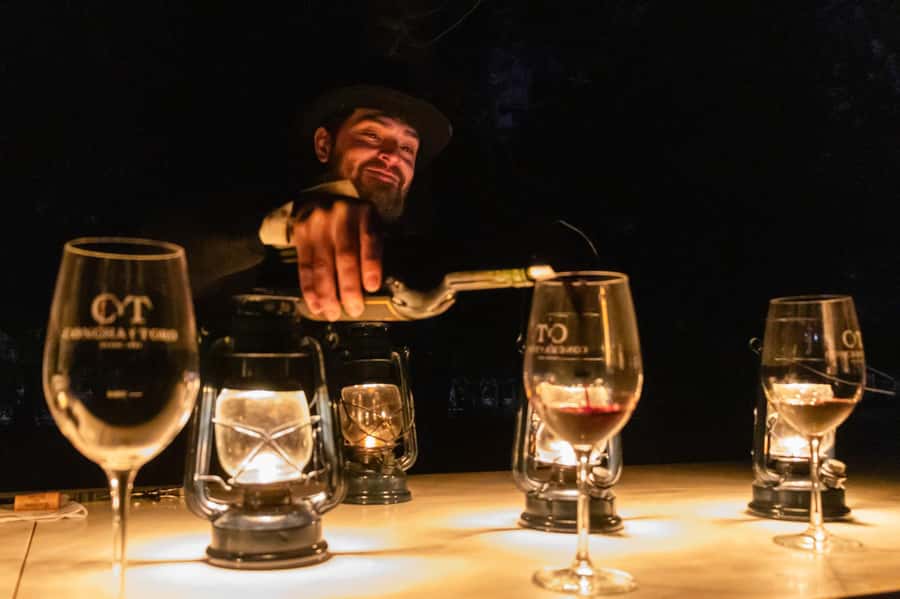 Viña Concha y Toro Nighttime: Dinner Show - Who will enjoy this evening most?