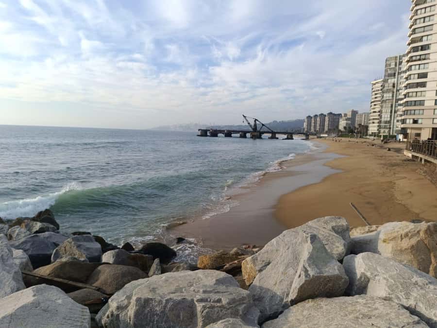 Viña del Mar: Guided city tour - A short public transport ride to Muelle Vergara