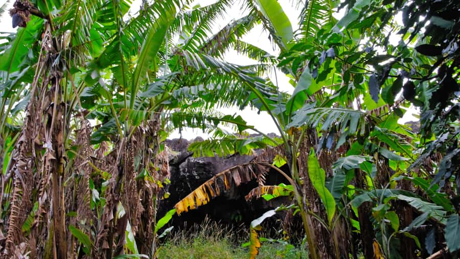 Volcanic Refuges: Excursion to Underground Civilization - Three hours is compact but carefully packed
