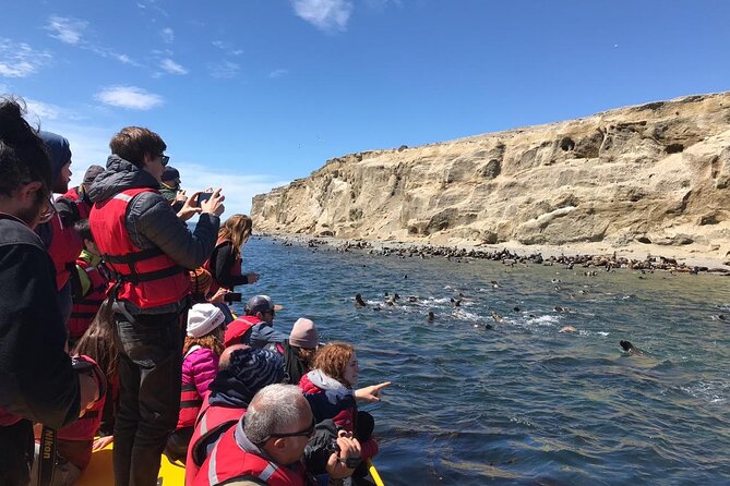Walk alongside Penguins on Magdalene Island and navigate Marta Island - Crossing the Strait of Magellan by boat