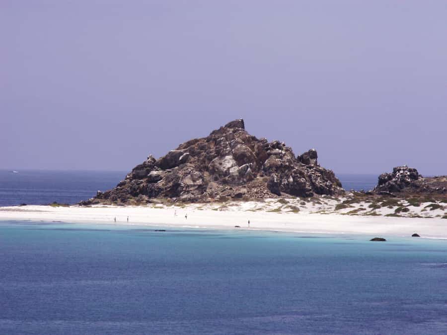 Whales & Humboldt Penguins: Chañaral or Damas island hiking - Punta Teatinos and Juan Soldado Bridge