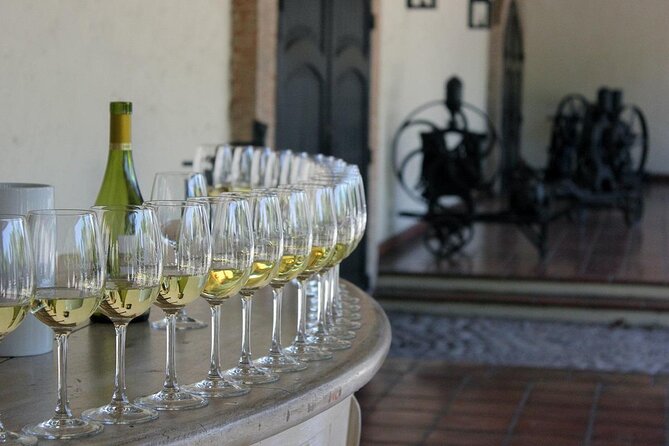 Wine wonders at Concha y Toro premium tour - Key points to know before you book